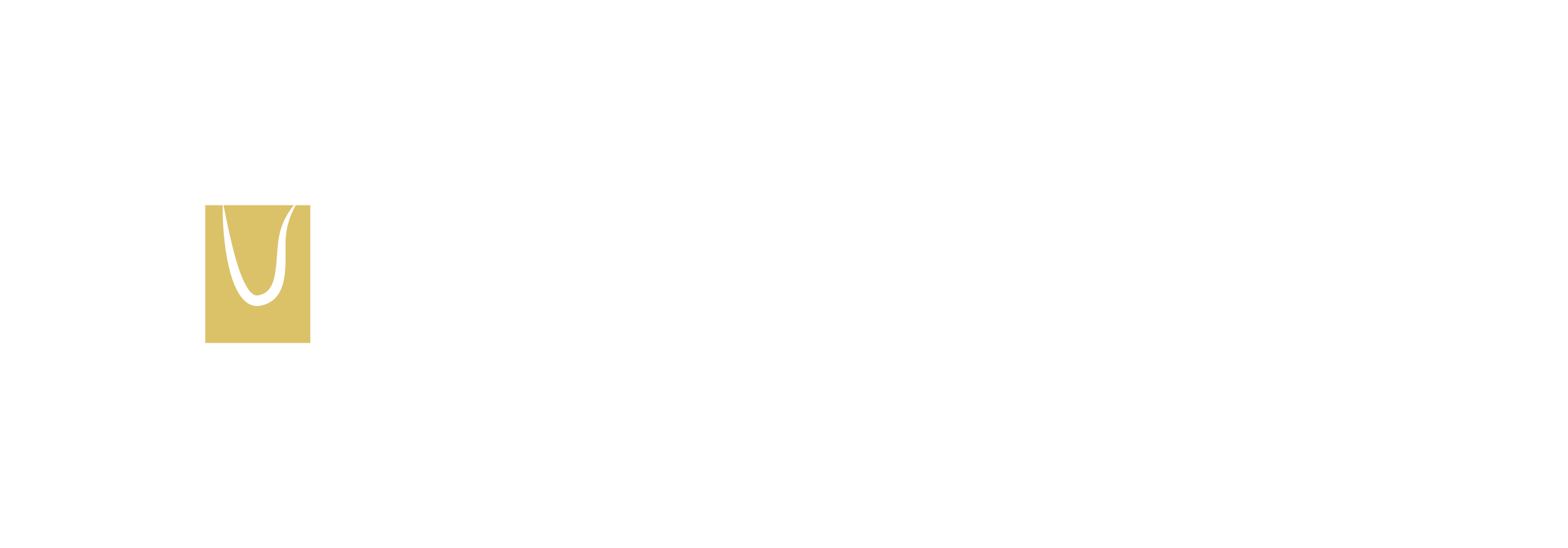 Dutch Retail Business